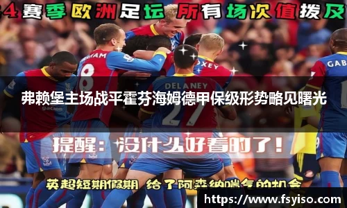 弗赖堡主场战平霍芬海姆德甲保级形势略见曙光